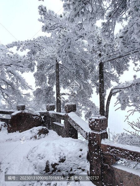 黃山雪景