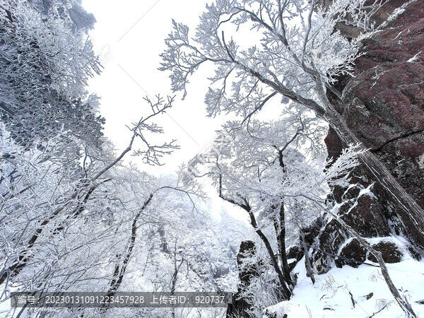 黃山雪景