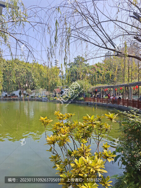 可園景色