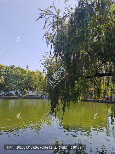 可園景觀