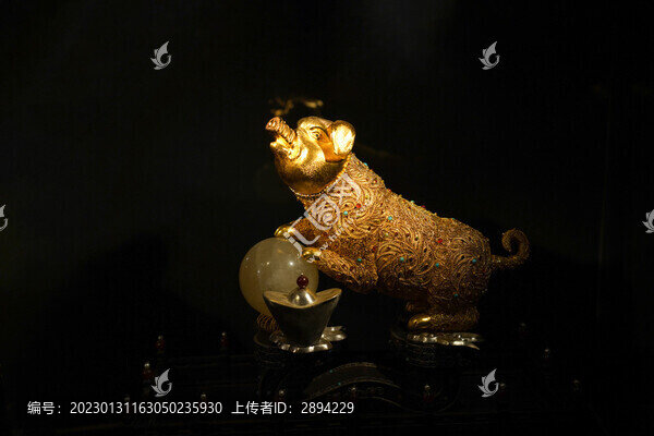 轉(zhuǎn)運(yùn)金豬