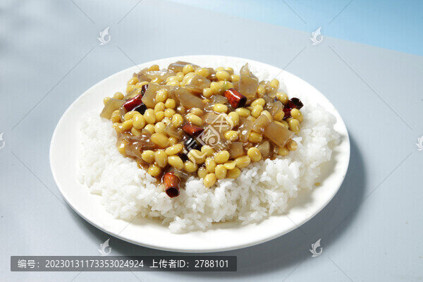 肉皮黃豆芽蓋飯