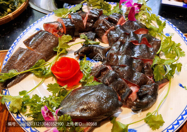 娃娃魚