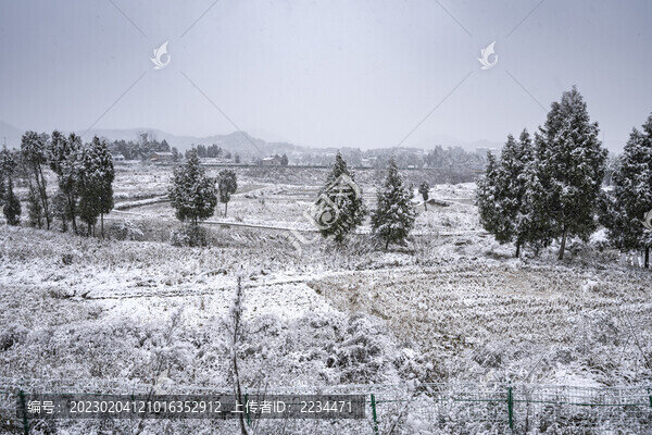 雪景