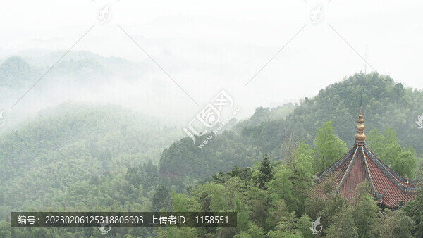 長(zhǎng)寧竹海