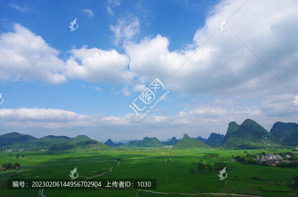 春天綠色田野