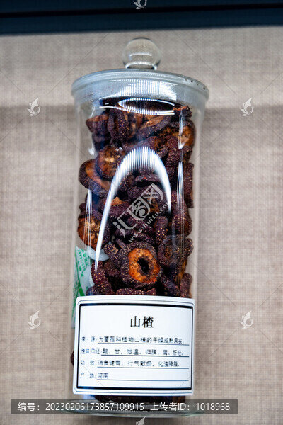 中藥材山楂