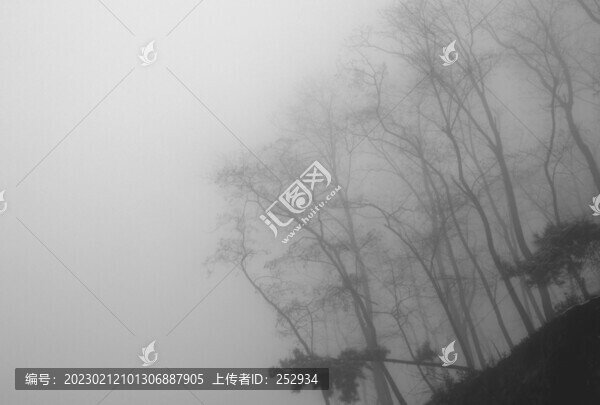 霧里的風(fēng)景