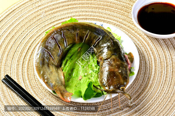 一條塘角魚