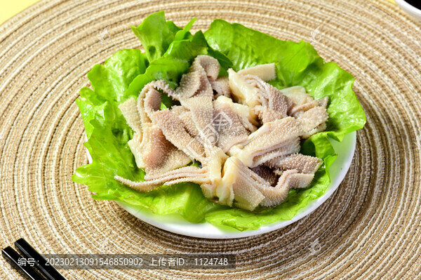 鮮毛肚
