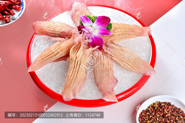 冰鮮魷魚