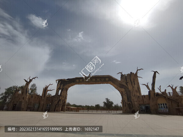 塔里木胡楊林公園