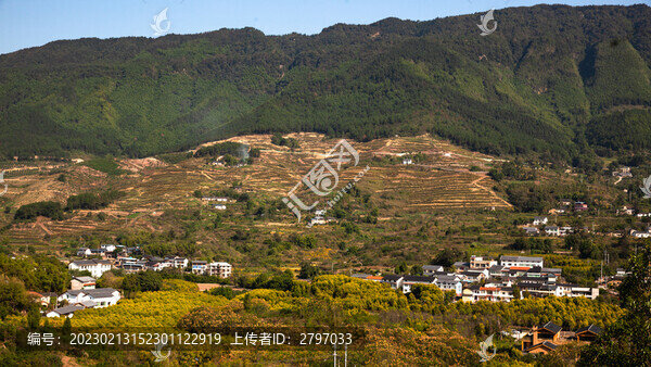 鄉(xiāng)村