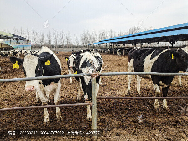 奶?；? title=