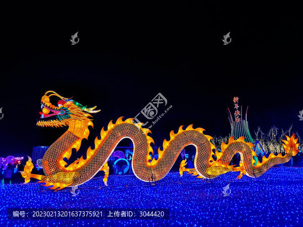 元宵燈會金龍