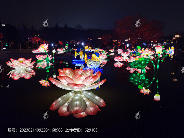 荷花花燈
