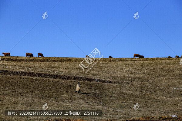 大山包