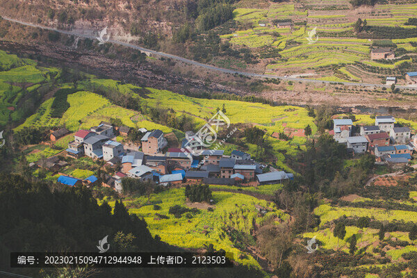 山間開放油菜花