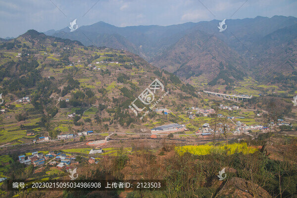 山間開放油菜花