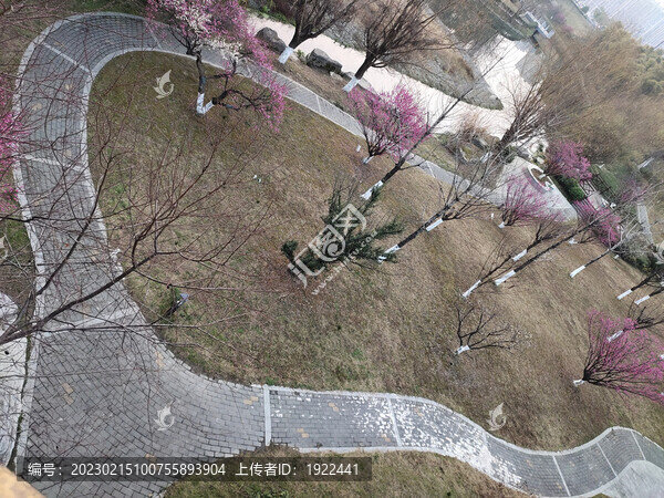 桃花與小路