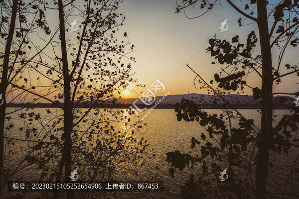 夕陽
