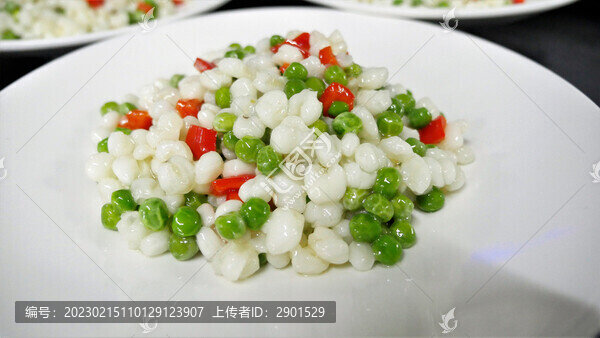 豆豆