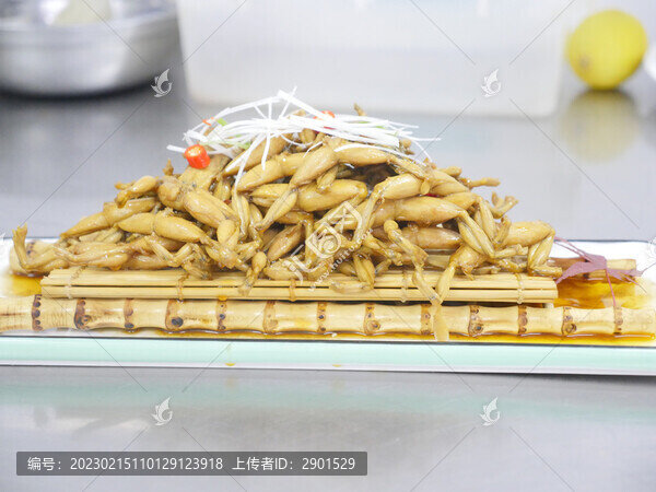 蛙