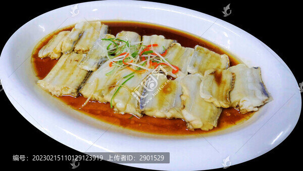 魚