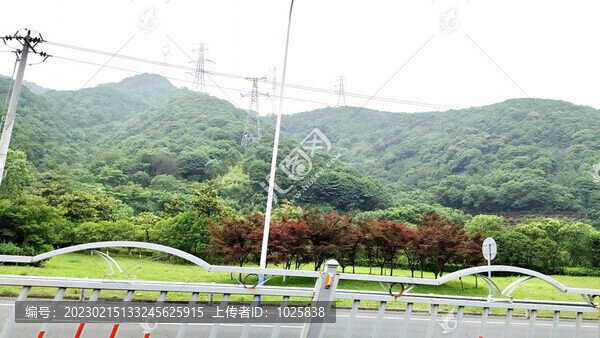 城市綠化