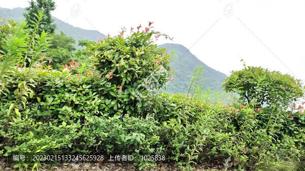 城鎮(zhèn)風(fēng)光