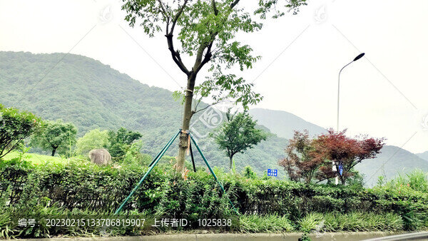 城鎮(zhèn)風(fēng)景