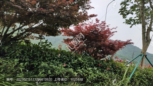城市風景