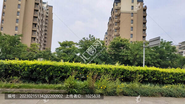 城市路邊