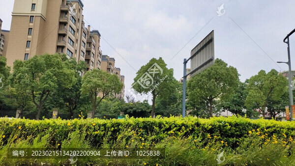 城市綠化