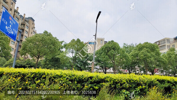 城市綠化