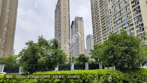 城市綠化