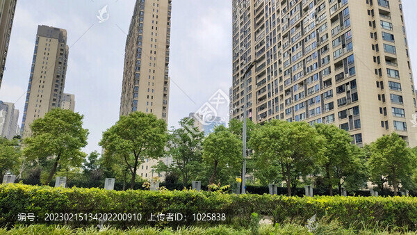 城市風(fēng)光