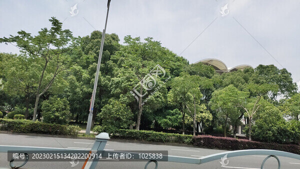城市路邊