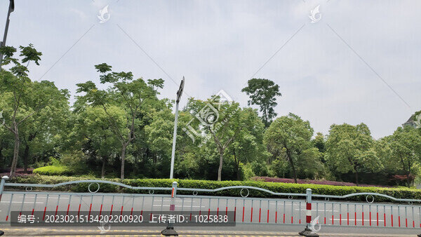 城市綠化
