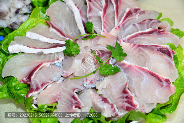 脆肉鯇