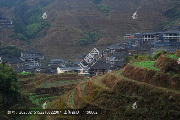 桂林龍脊梯田