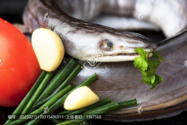 鰻魚風(fēng)鰻