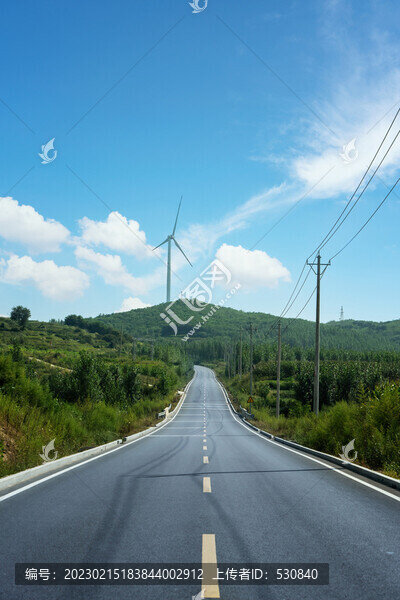 戶外森林公路天際線