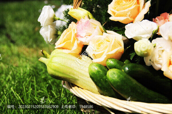蔬菜花籃
