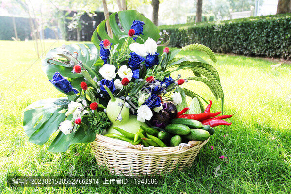 蔬菜花籃