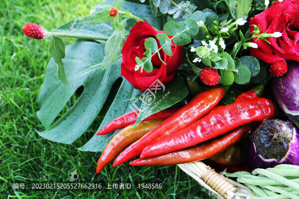 蔬菜花籃