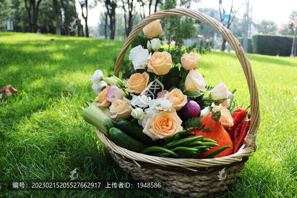蔬菜花籃