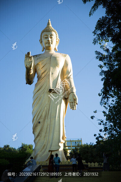 大金佛