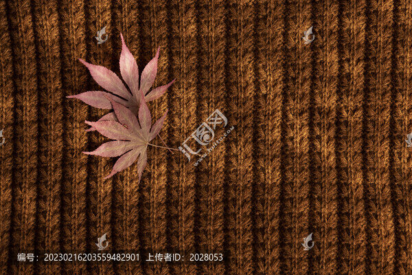 秋季溫暖文藝楓葉素材