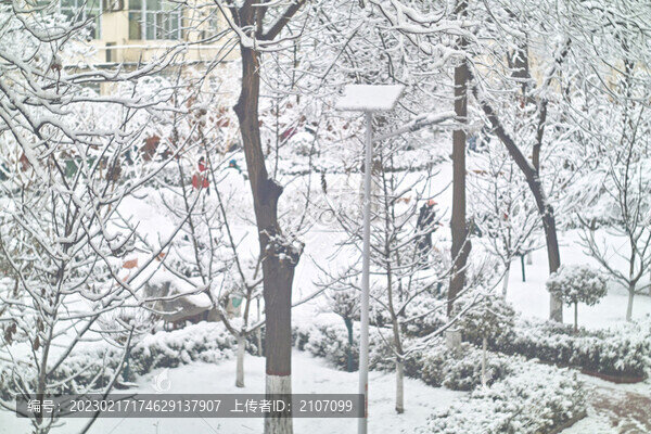 春雪